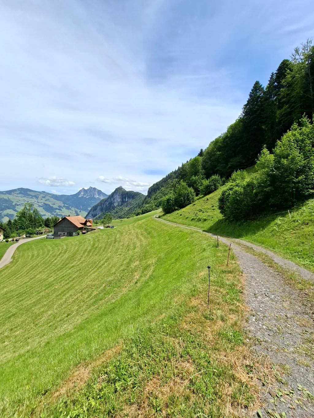 Zelten hoch über dem Lauerzersee