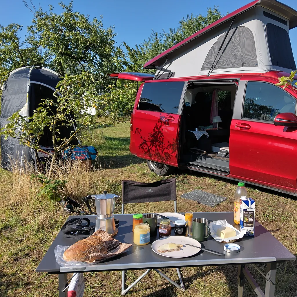 Photo de profil de Monica