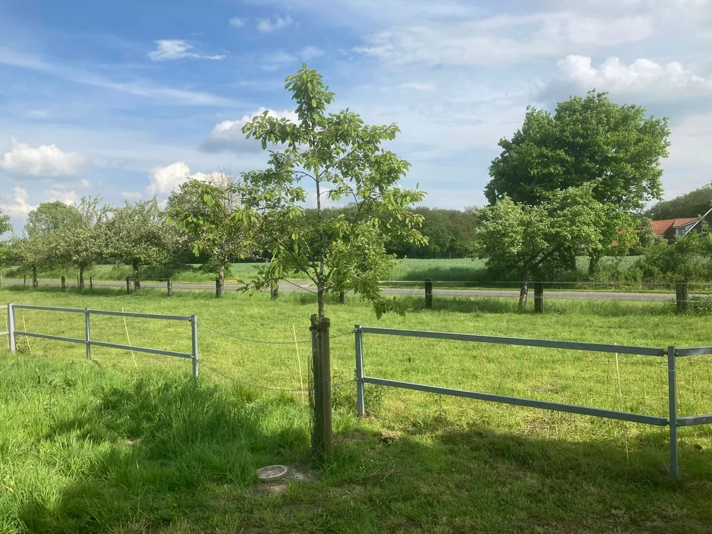 Gescher Bauernschaft, 5 Min. zur A31