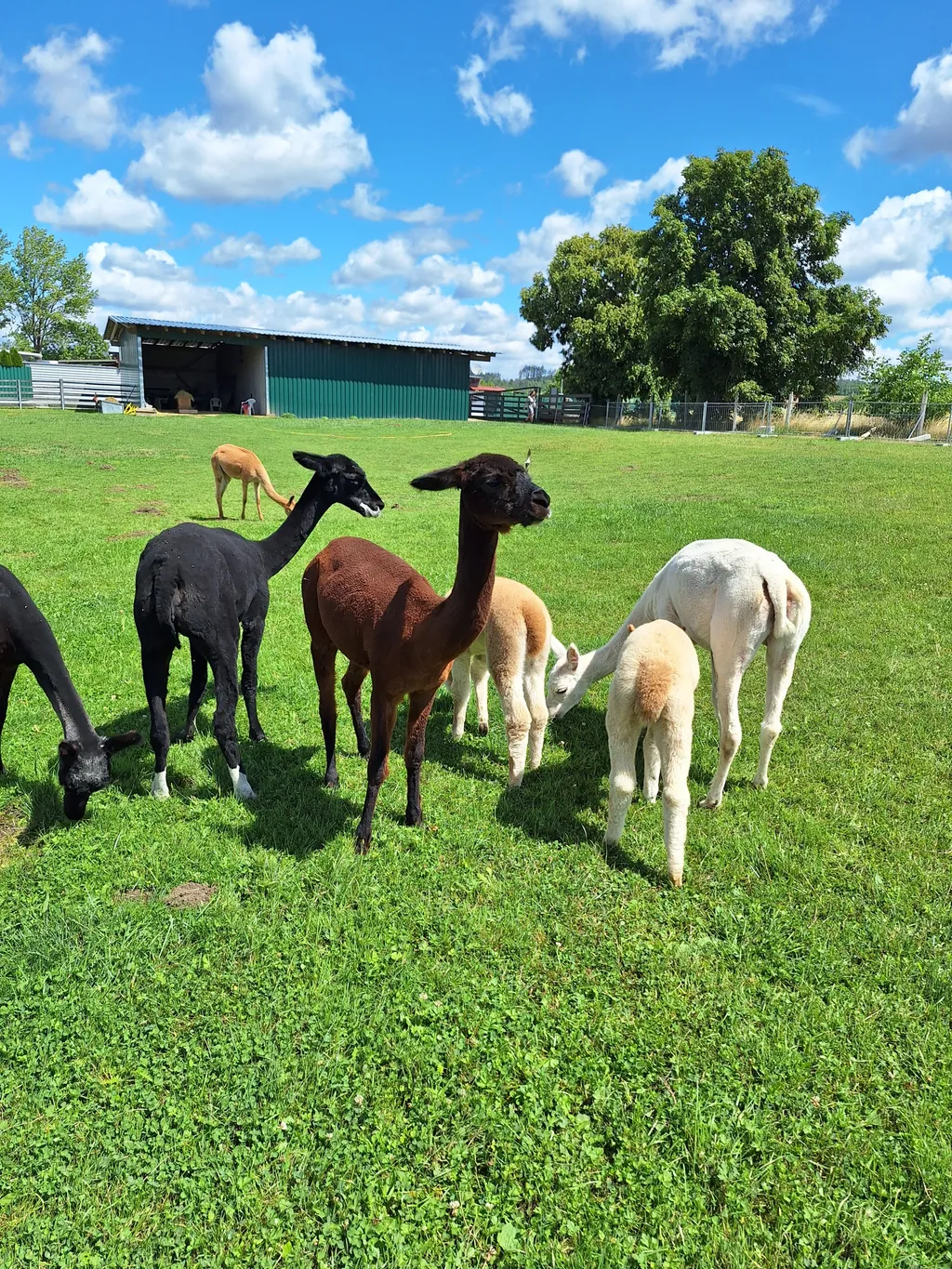 Bild von Regina für den Spot 4178