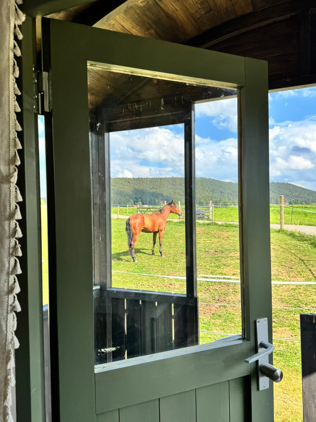 Cowboywagen mit Schwarzwald-Feeling