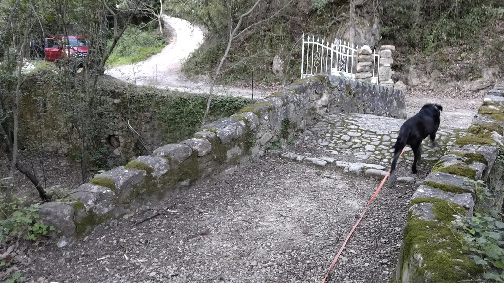 Bild von Monica für den Spot 4427