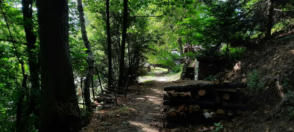Camp in mezzo al bosco