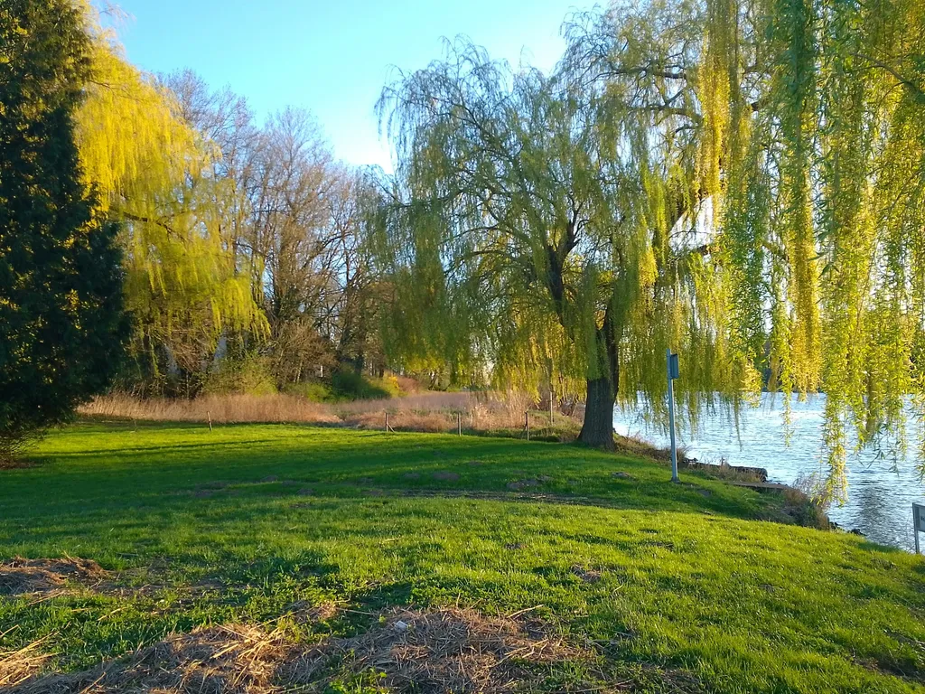 Profilbild von Michael