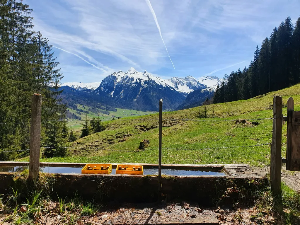 Camping bei der Jagdhütte