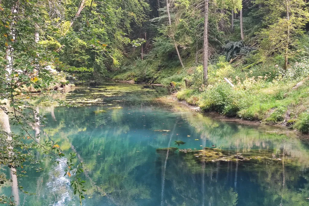 Bild von Cara für den Spot 1567