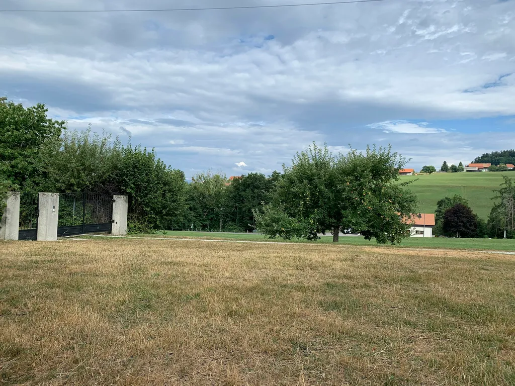 Un petit coin tout nature