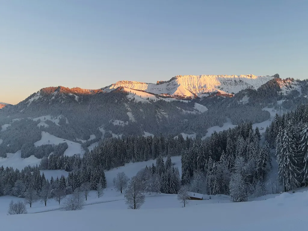 Camp Buchschachenegg