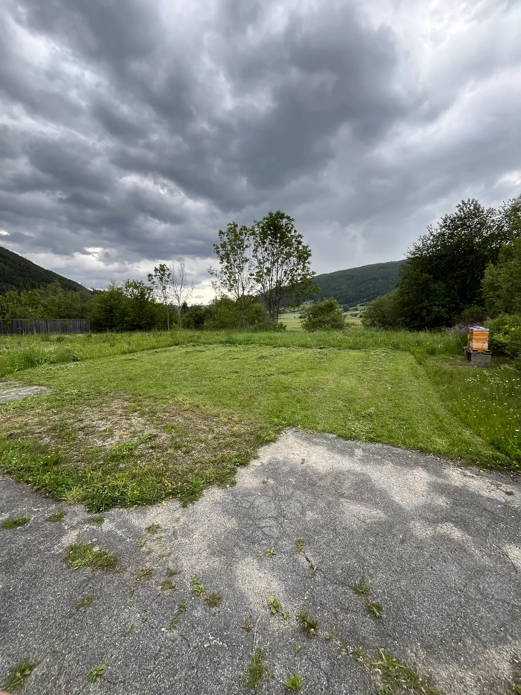 Naturbelassene Wiese im Salzburger Lungau