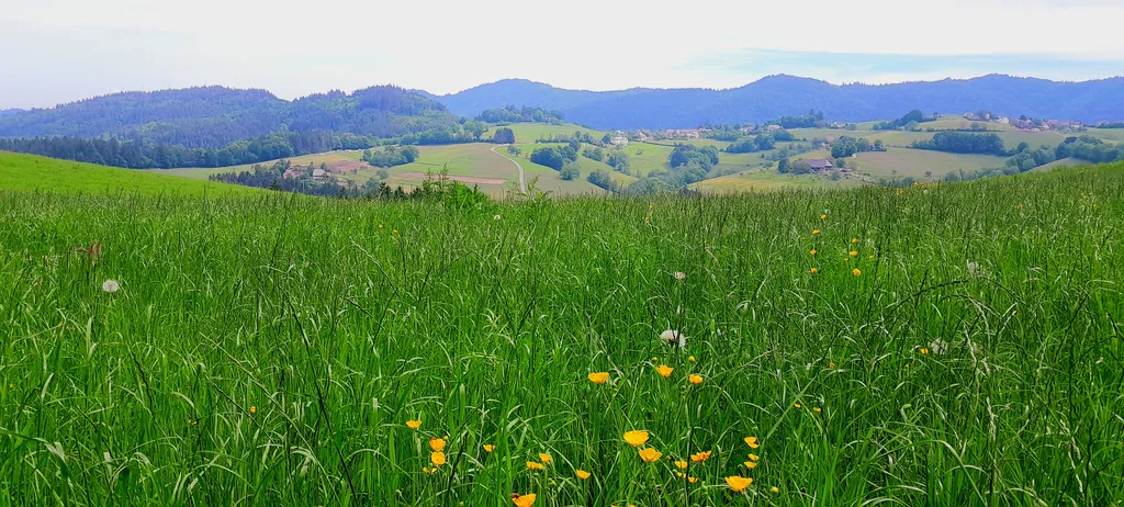 Natur poor/ Horben Blick, Platz bei Elli u Thomas