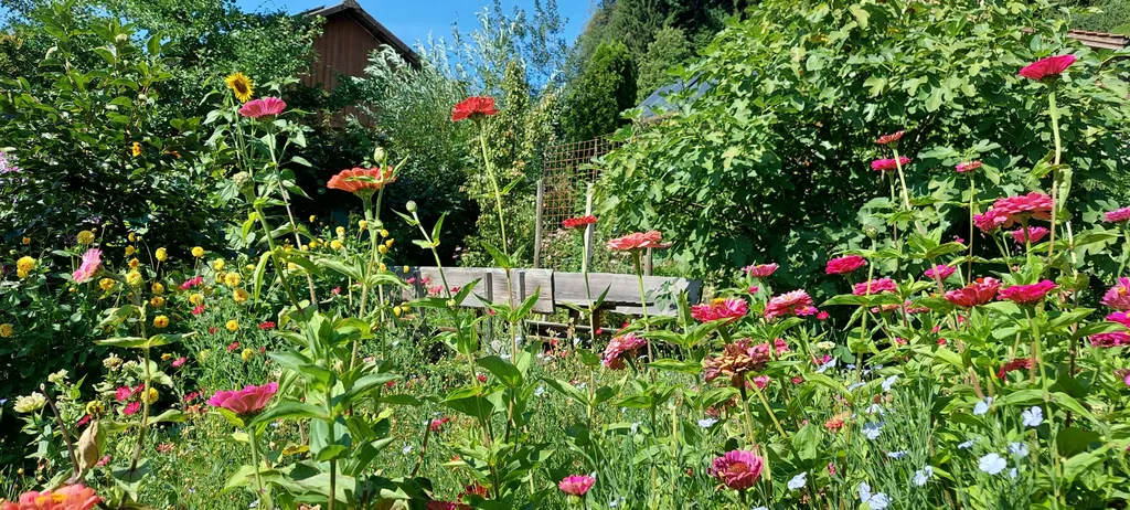 Camping im Bauerngarten