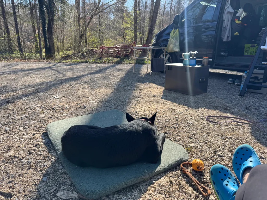 Bild von Christine für den Spot 4350