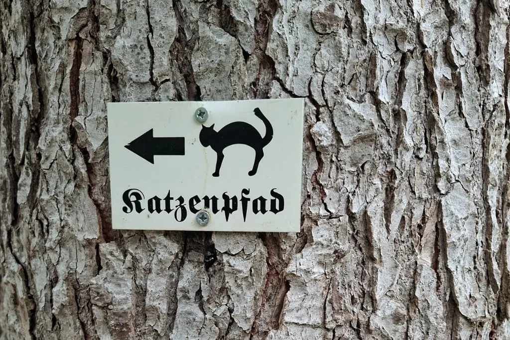 Bild von Jaap für den Spot 979