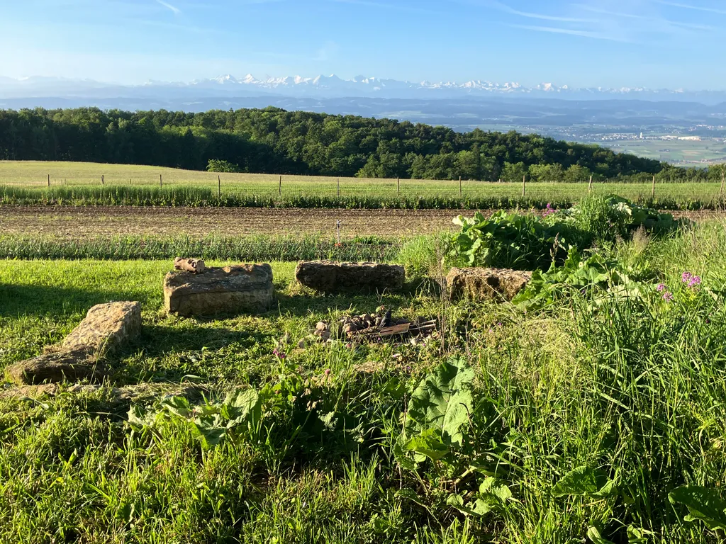 naturverbundene Feuerstelle