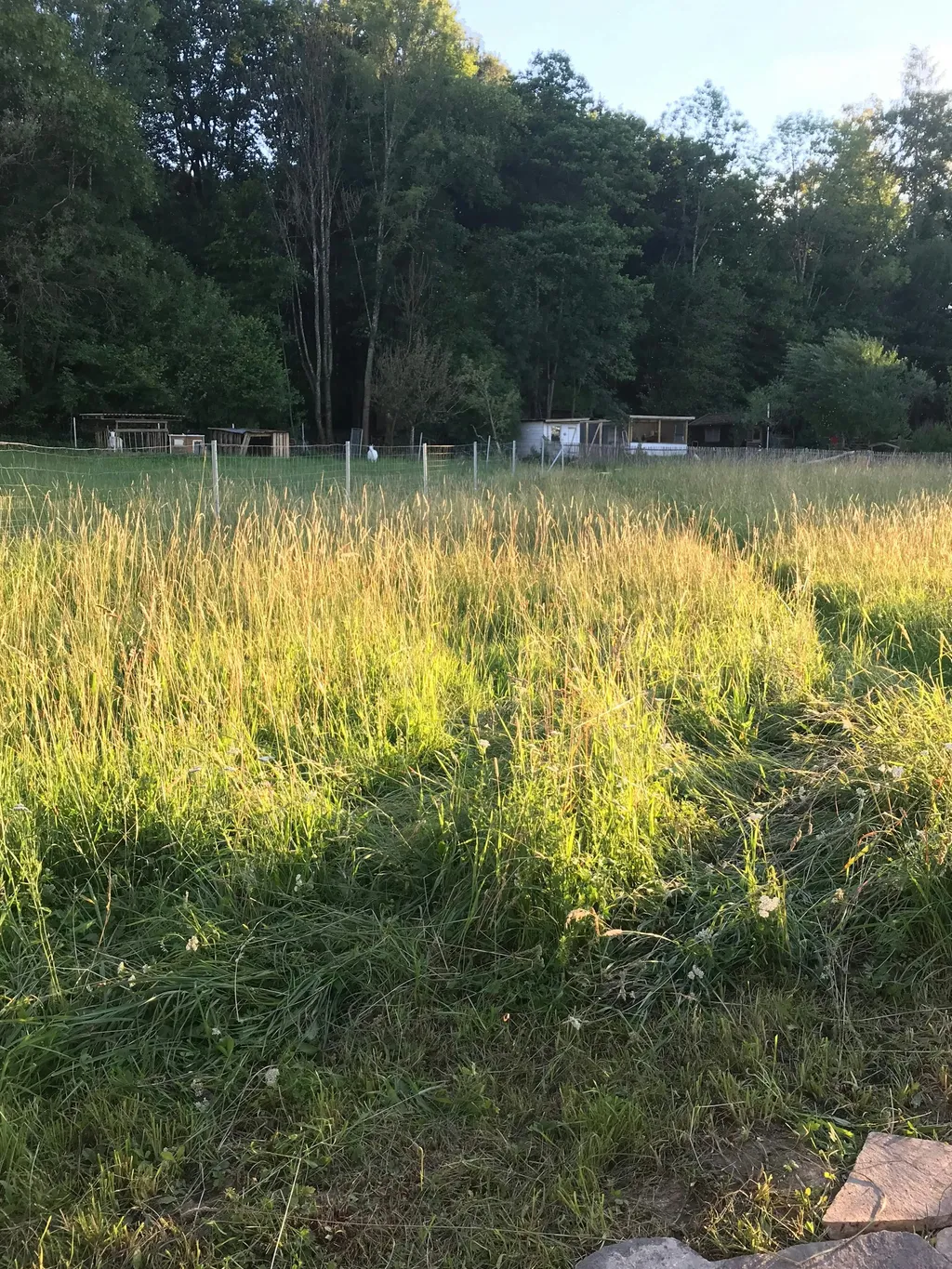 Zelten in der Streuobstwiese