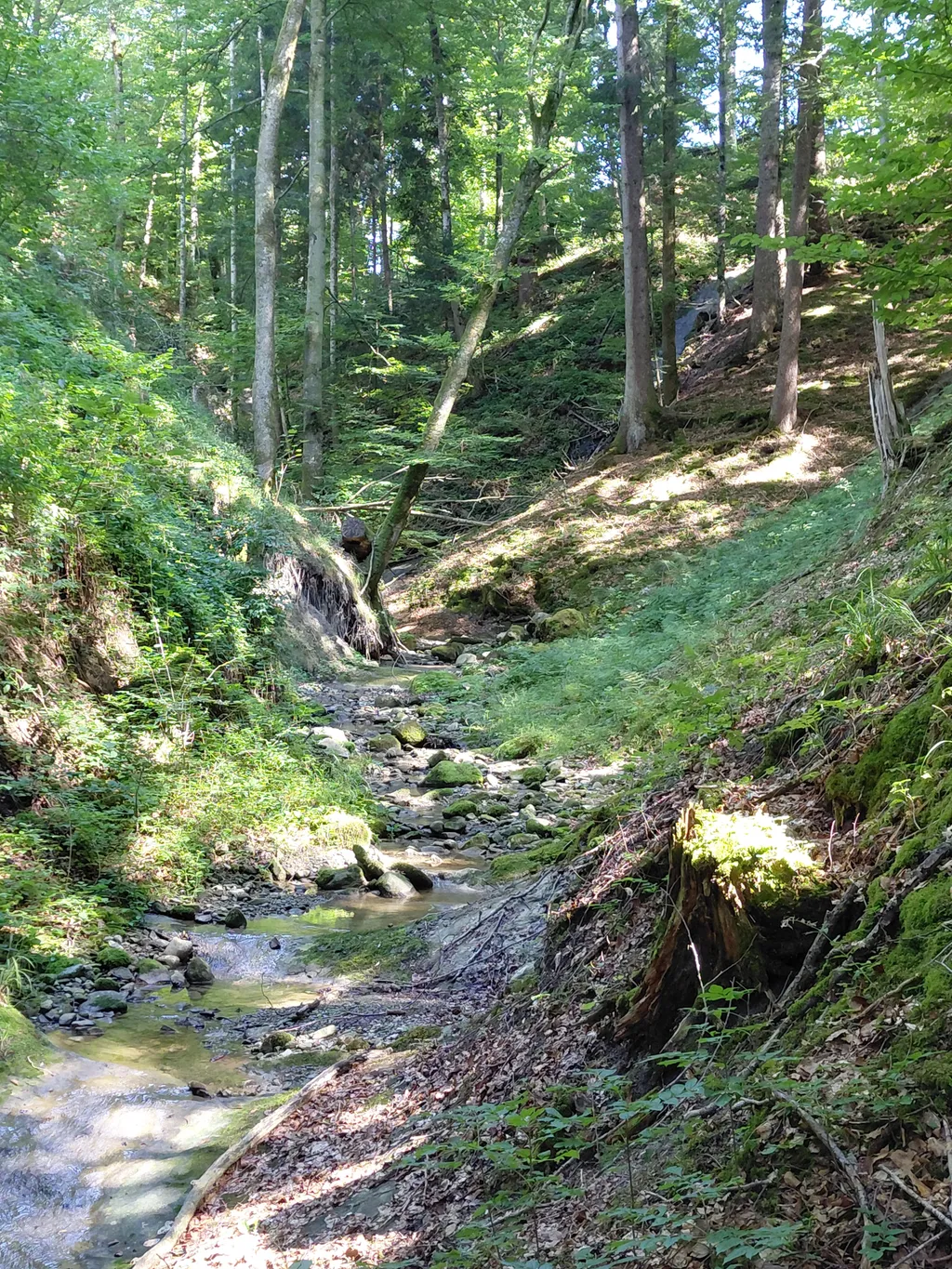 Bild von Felix für den Spot 256