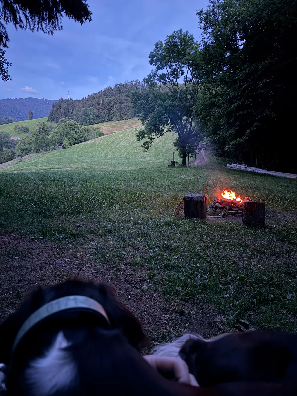 Bild von Matthias für den Spot 1550