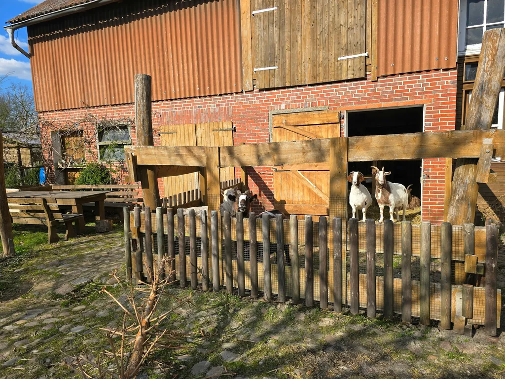 Ziegenblickcamping