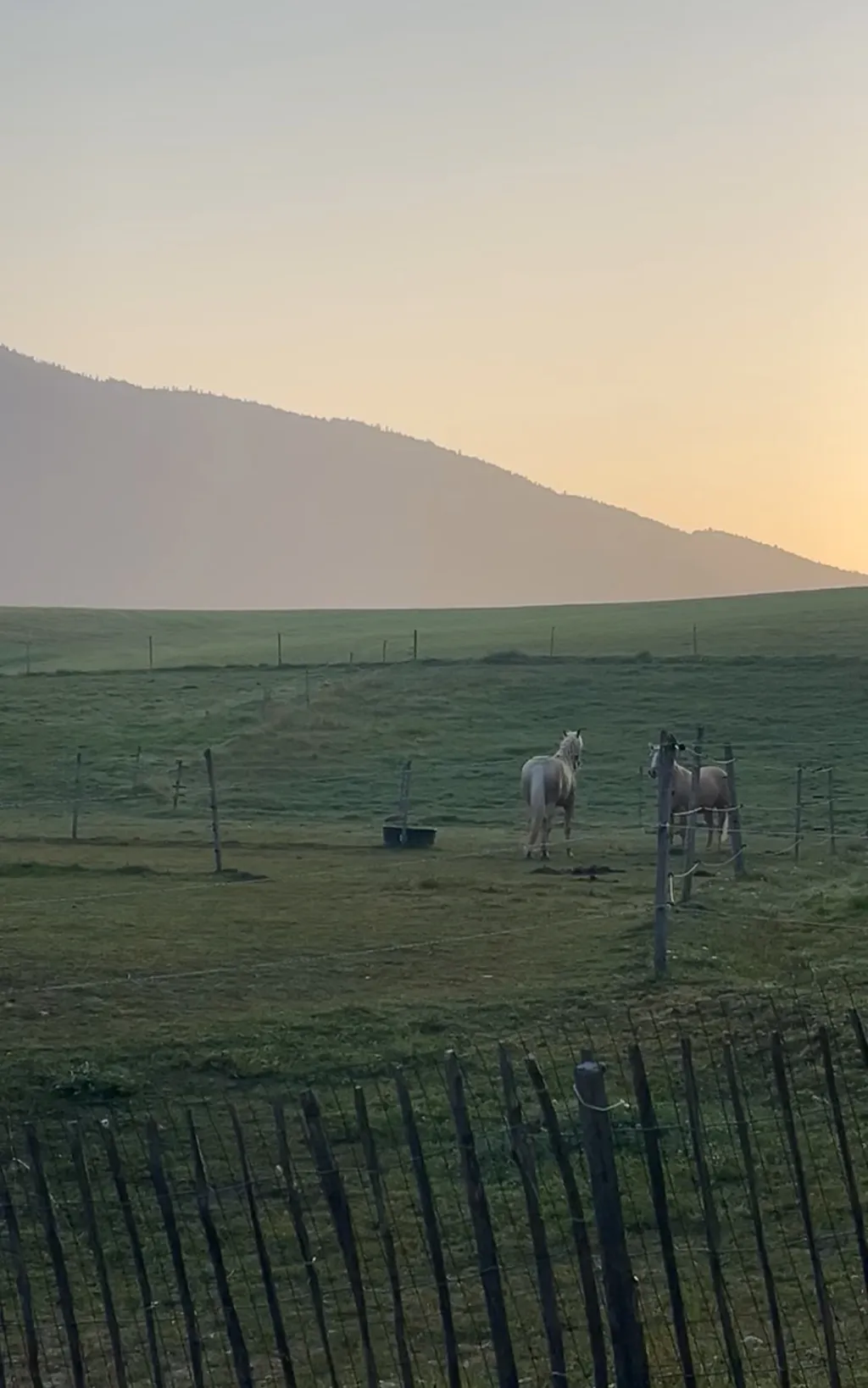 Bild von Adelina für den Spot 250