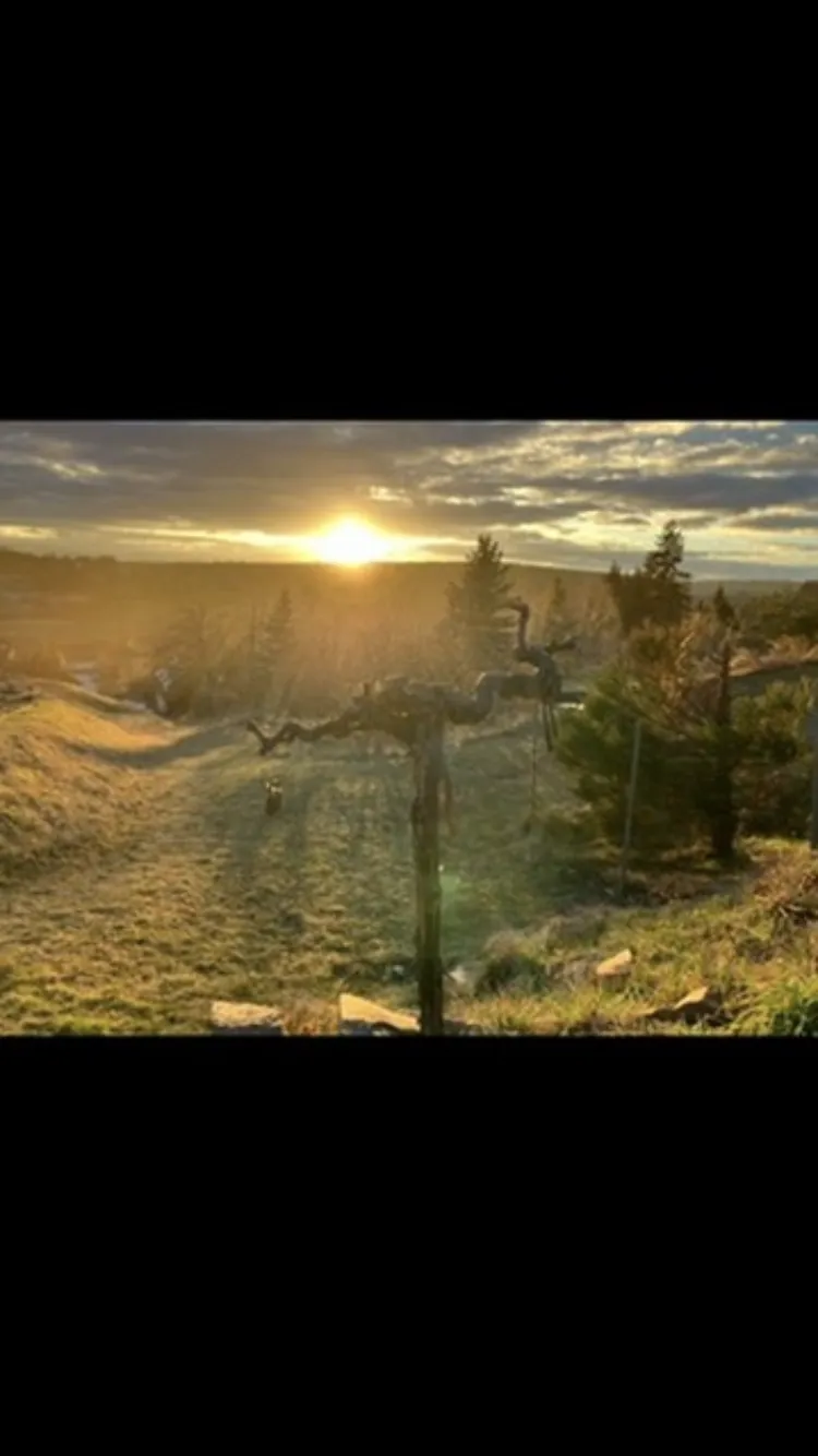 Stellplatz in mitten der Natur