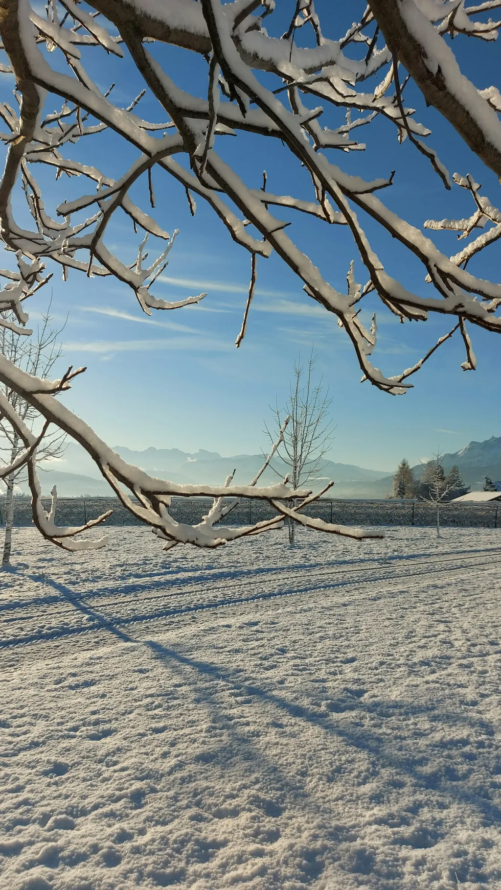Heimatärde