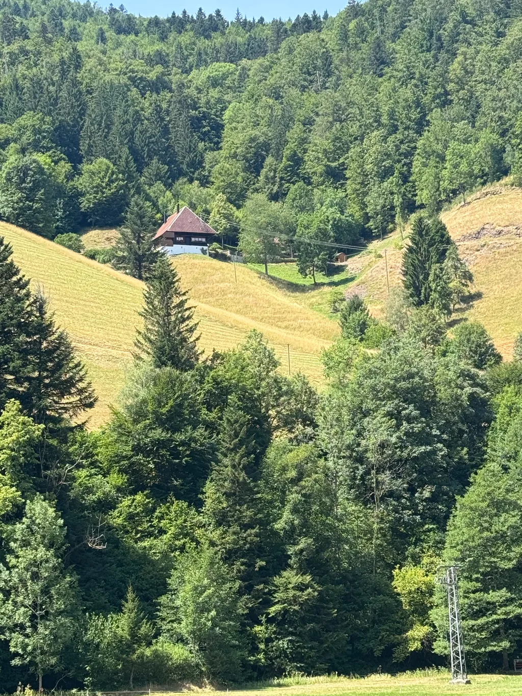Bild von Ulrich für den Spot 1624