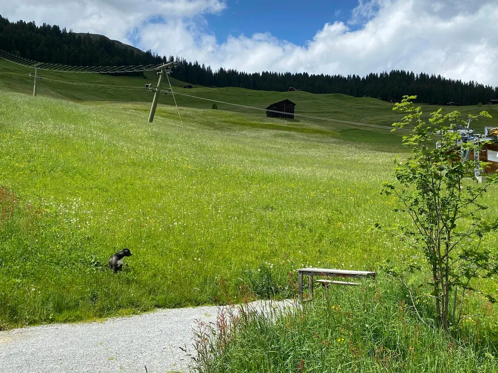 Stellplatz bei der Hofstatt