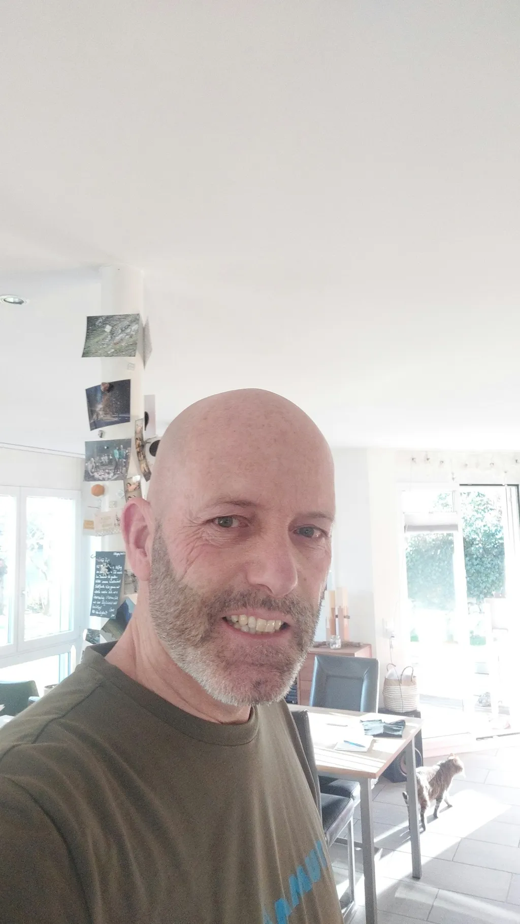Profilbild von urs