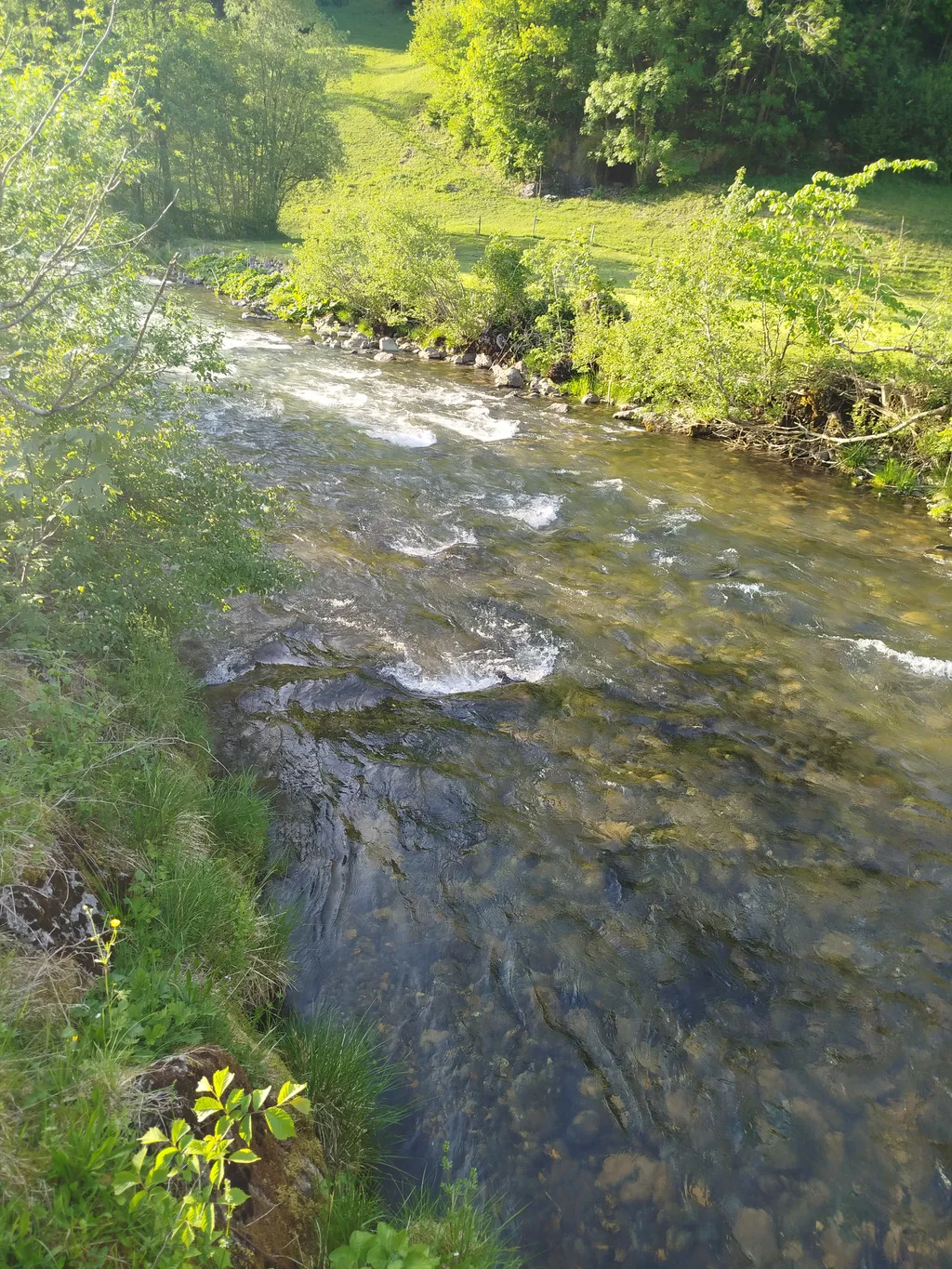 Ruhiger Platz in der Natur