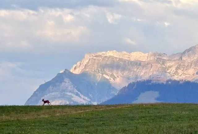 Bild von Evelyn für den Spot 649