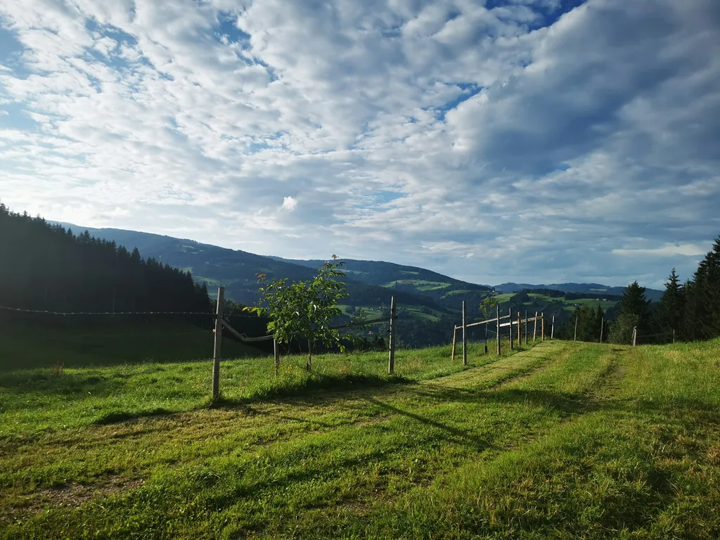 Blick auf die Saualpe/Forstalm