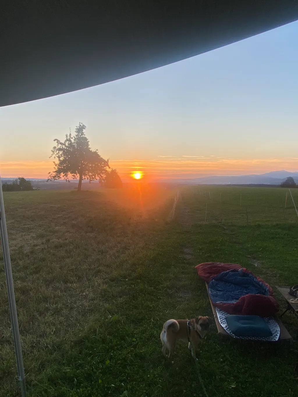 Bild von Sonja für den Spot 1186