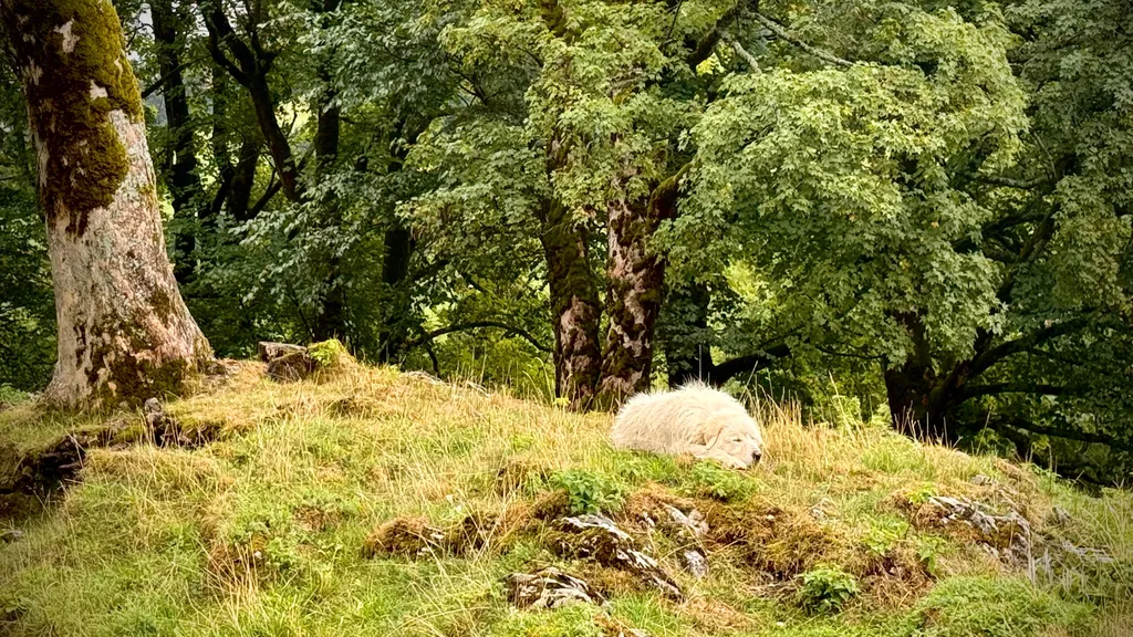 Bild von Libuscha für den Spot 196