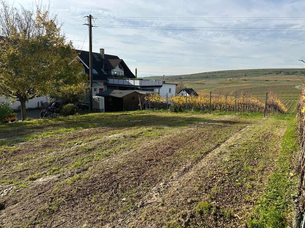 Camping im Weinberg auf dem Winzerhof