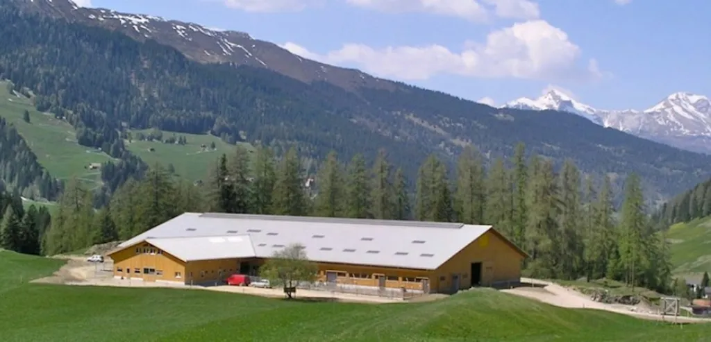 Gemeinschaftstall avatar