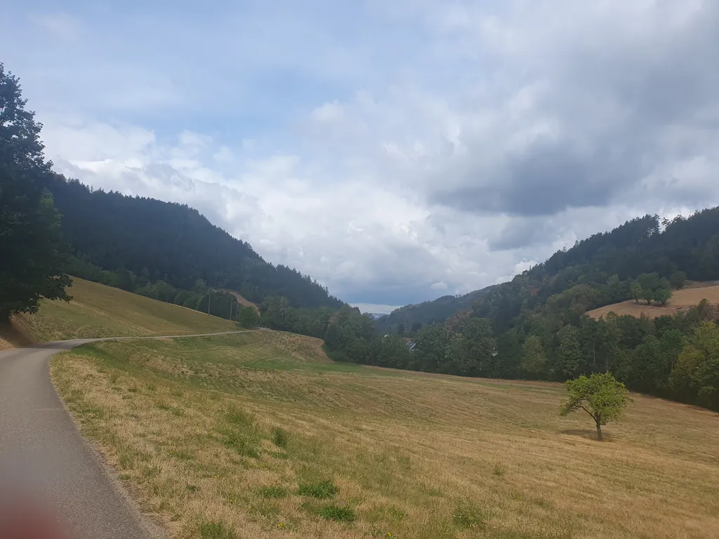 Bild von Tanja für den Spot 1620