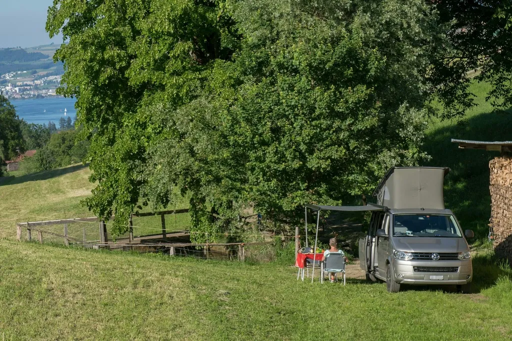 Auszeit am Forellenweiher