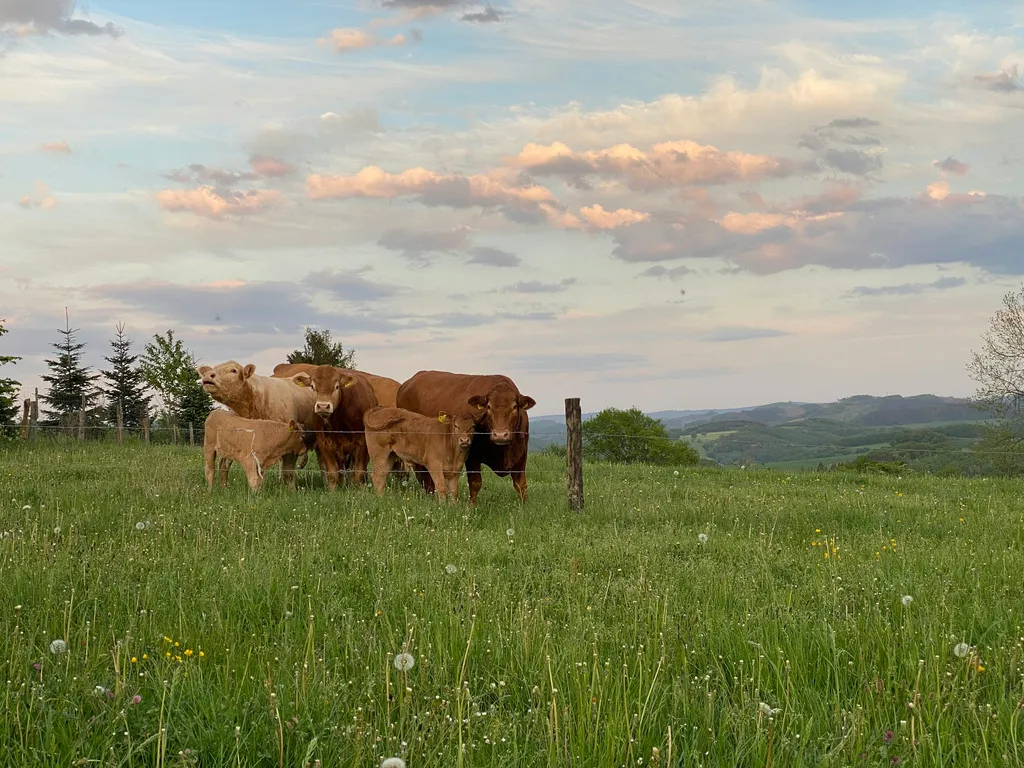Zelten mit Panoramablick