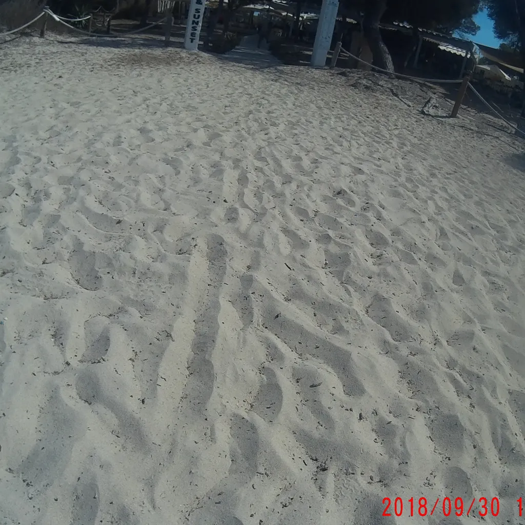 Profilbild von Sandro