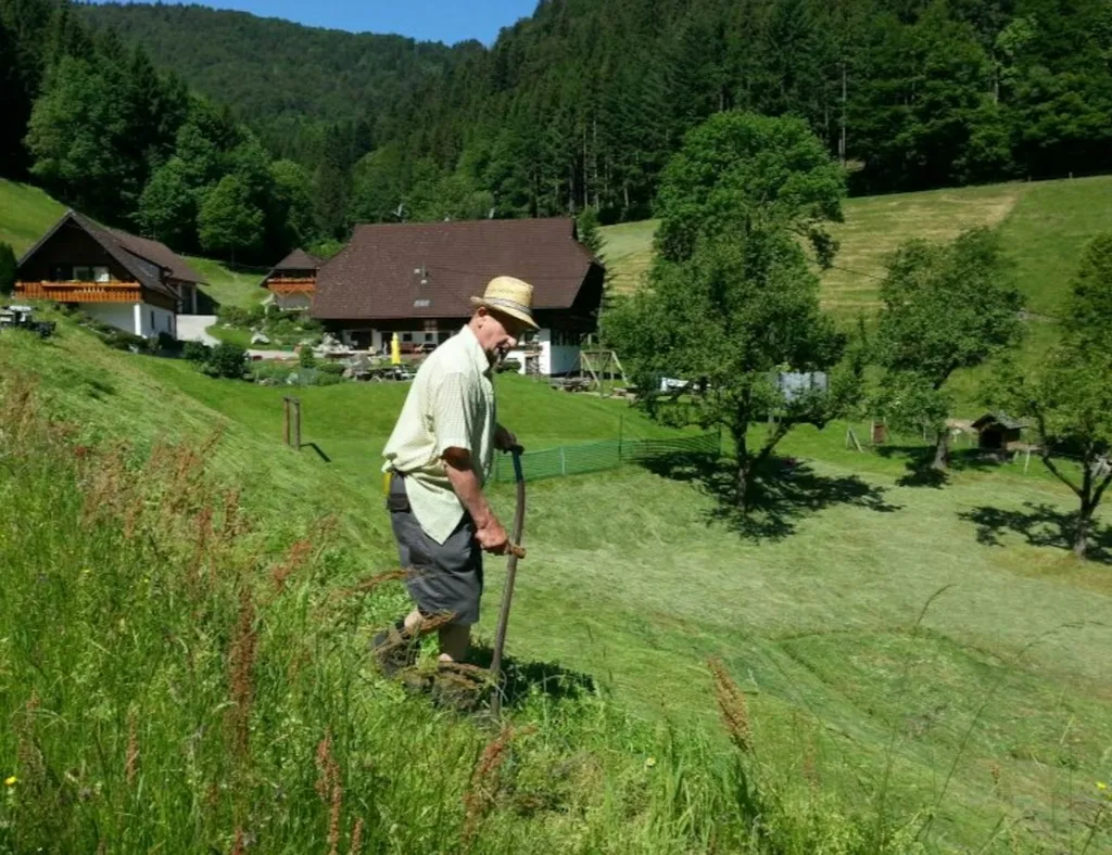 Natur pur am Zweribachwasserfall