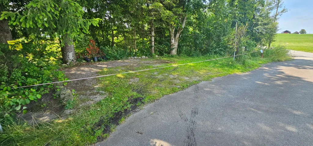 Bild von Christoph für den Spot 451