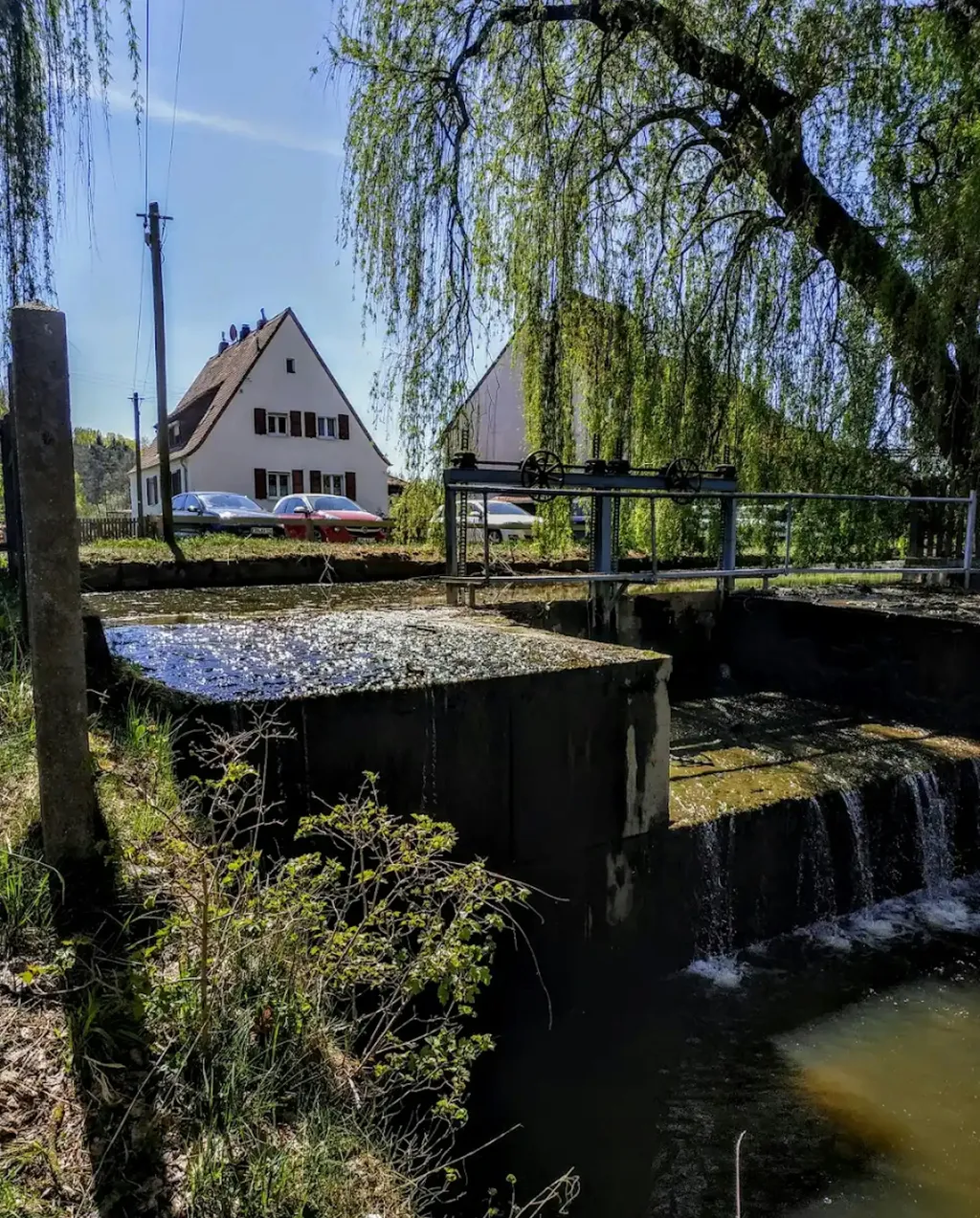 Auf der Koppel – Nbg und Erlangen