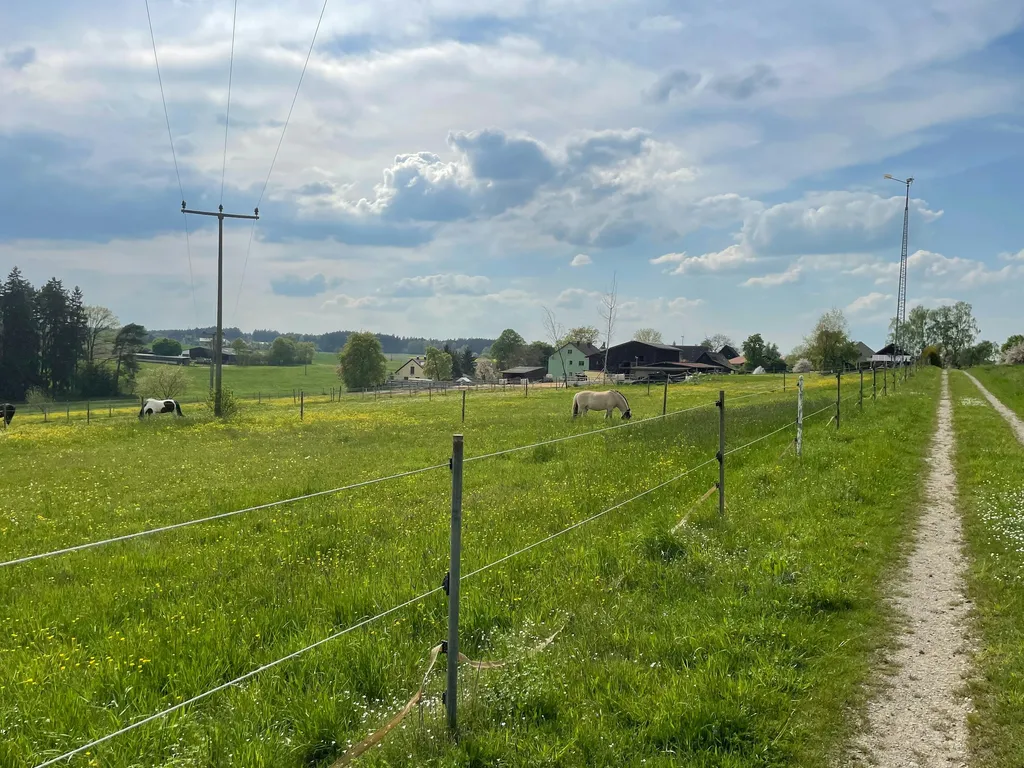 Natur pur – mit wundervollem Ausblick