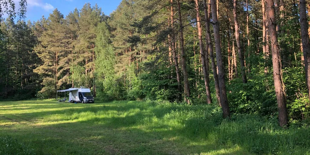 Grüne Wiese im Wald oder idyllischer Hofstellplatz