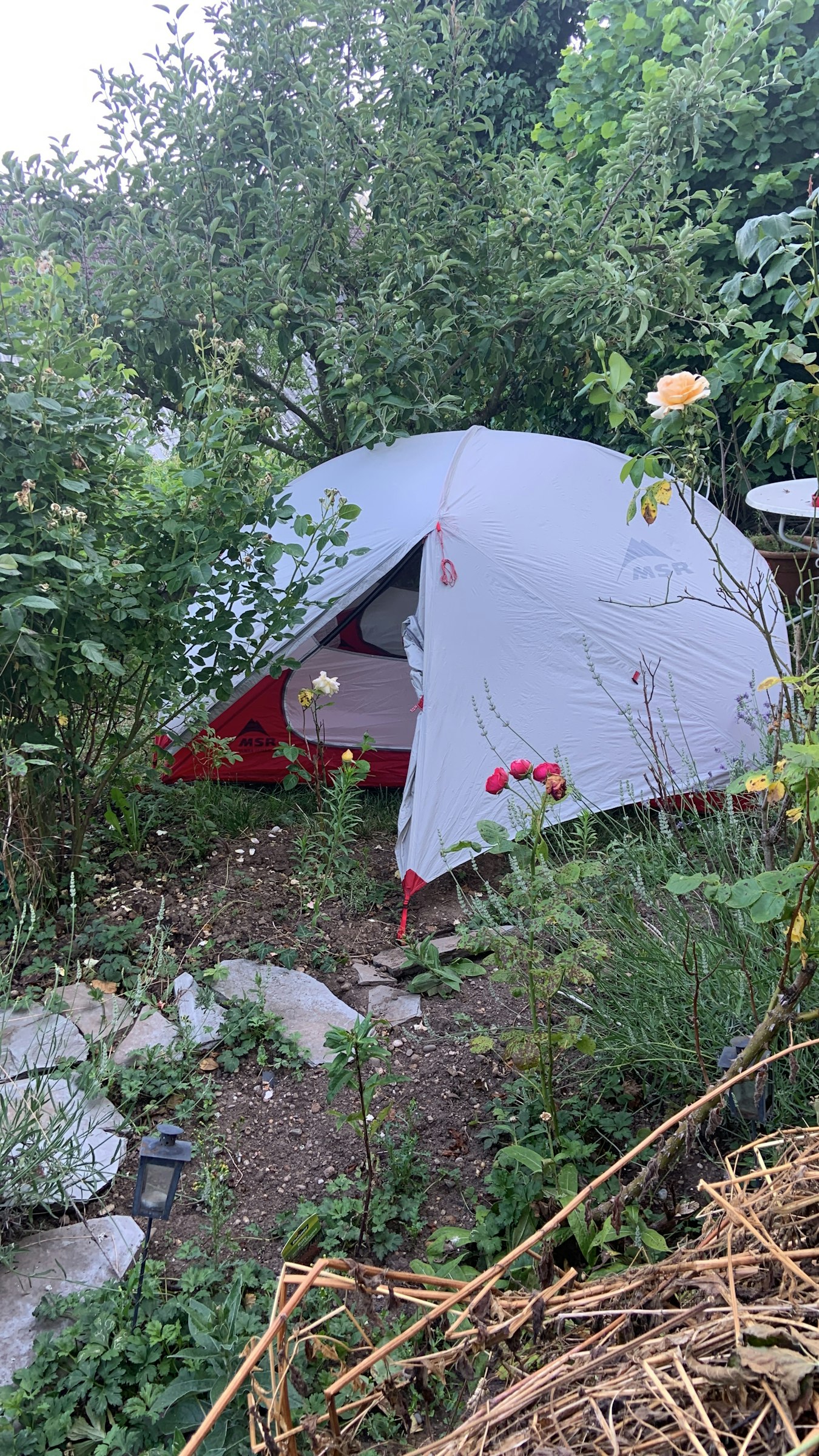 Wo der Hahn „Guten Morgen“ kräht