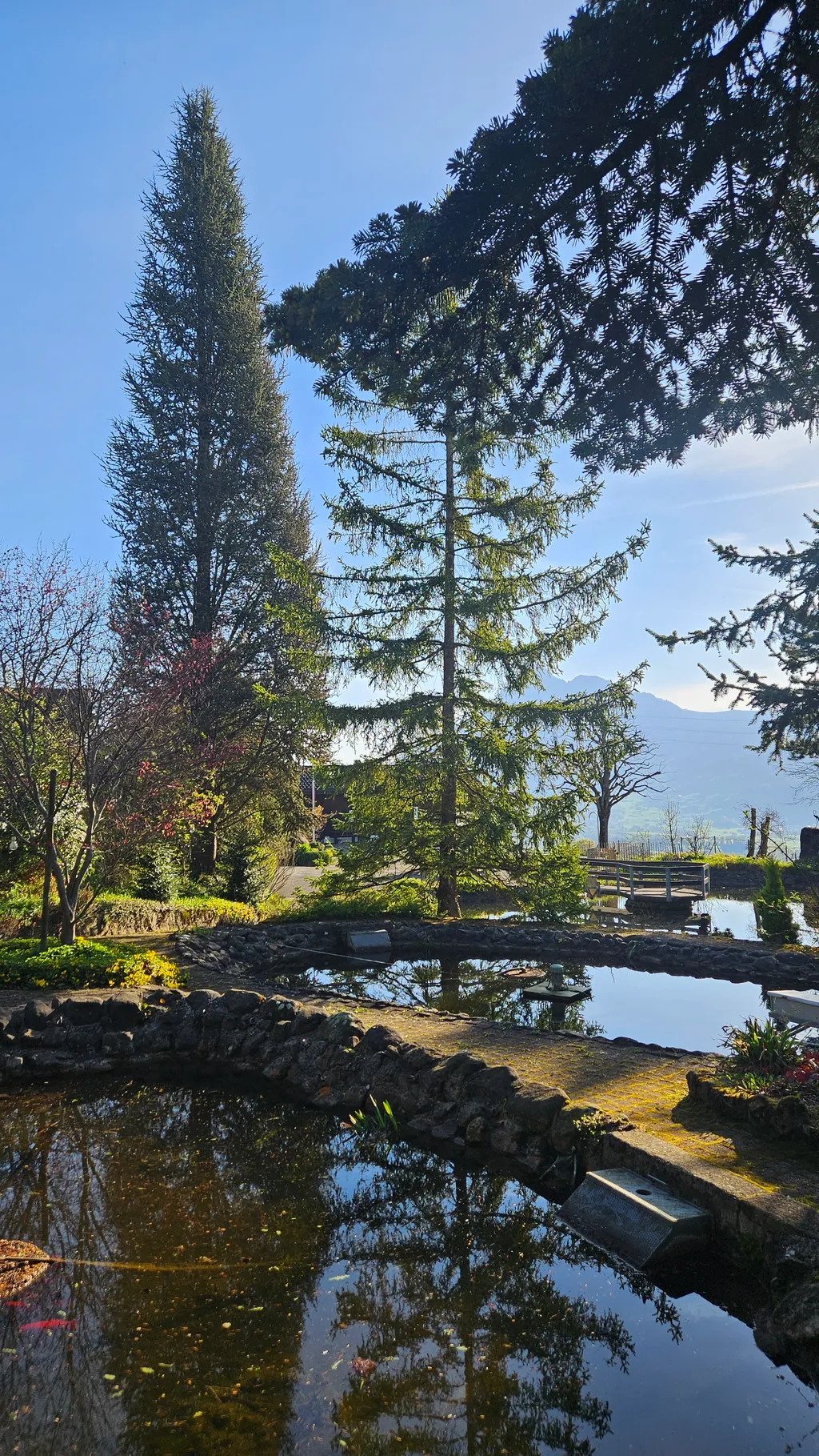 Bild von Monika und Christian  für den Spot 1278