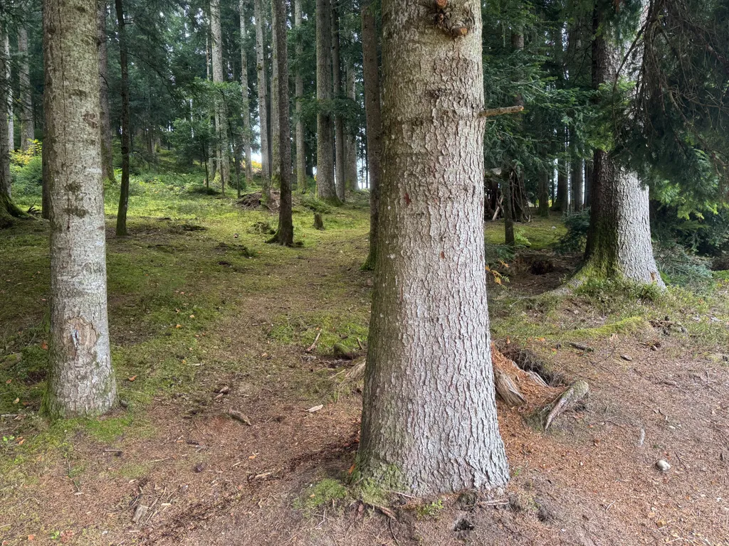 Bild von Philipp für den Spot 335