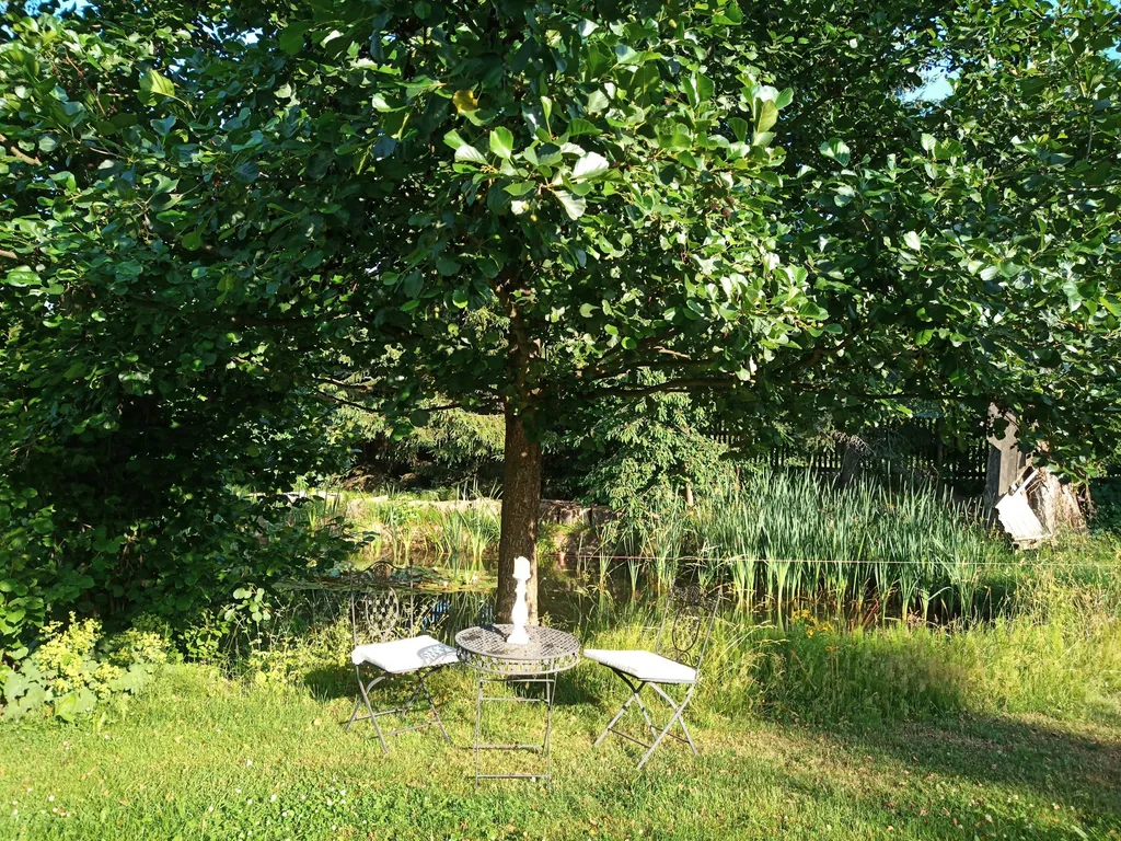 Sichere Wiese mit Naturteich