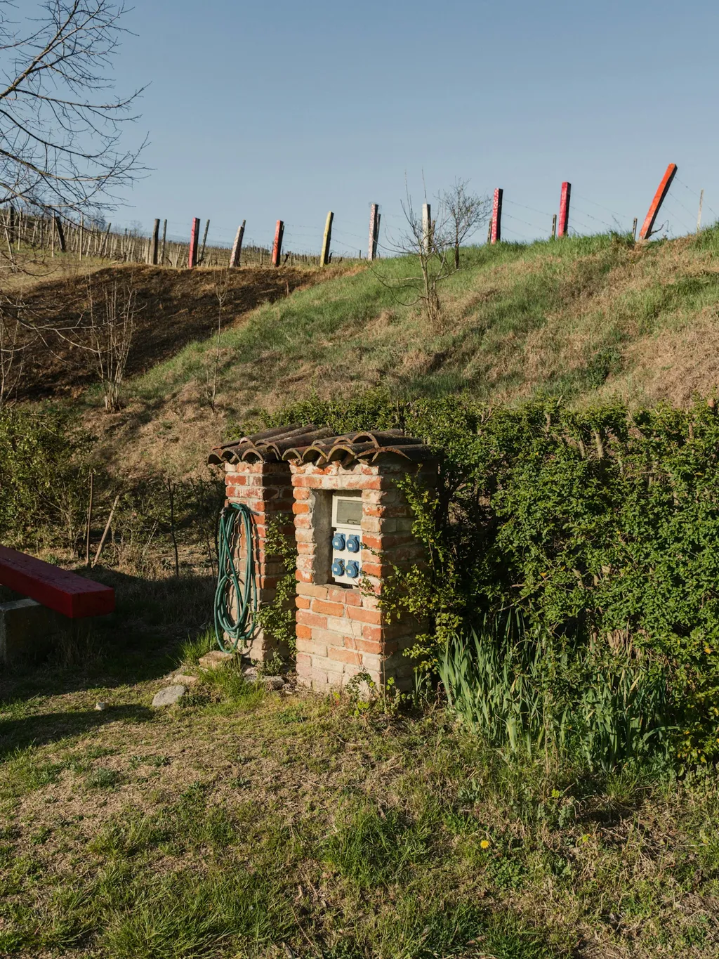 Camp Grancollina 🍷🍇