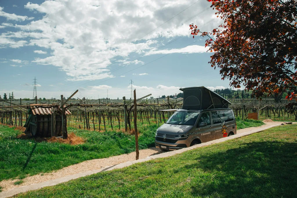 Corte Odorico Wine Experience